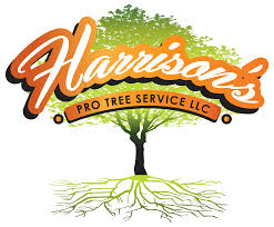 Harrison’s Pro Tree Service Logo