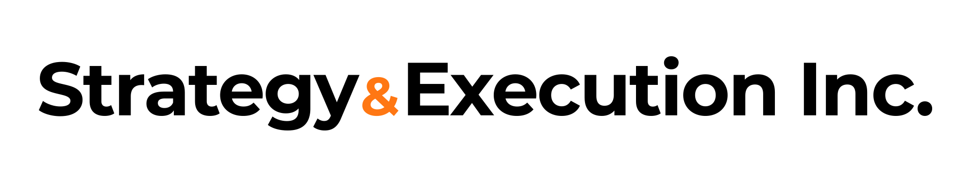 Strategy & Execution Inc. Logo